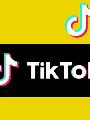 TikTok Ads Masterclass Complete