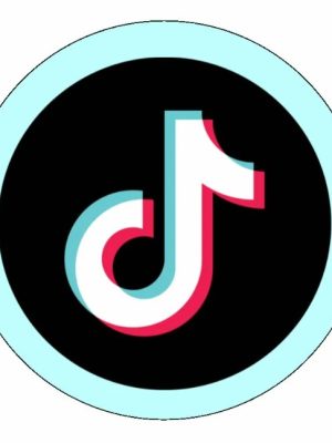 TikTok Ads Masterclass: The Complete A-Z TikTok Ads Course