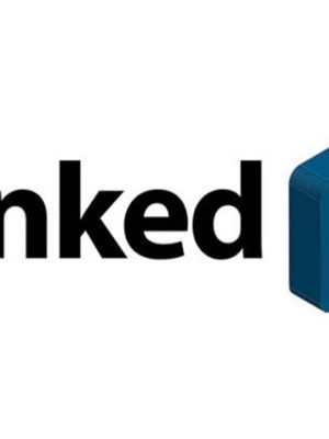 LinkedIn Advertising for Small Businesses or Beginners